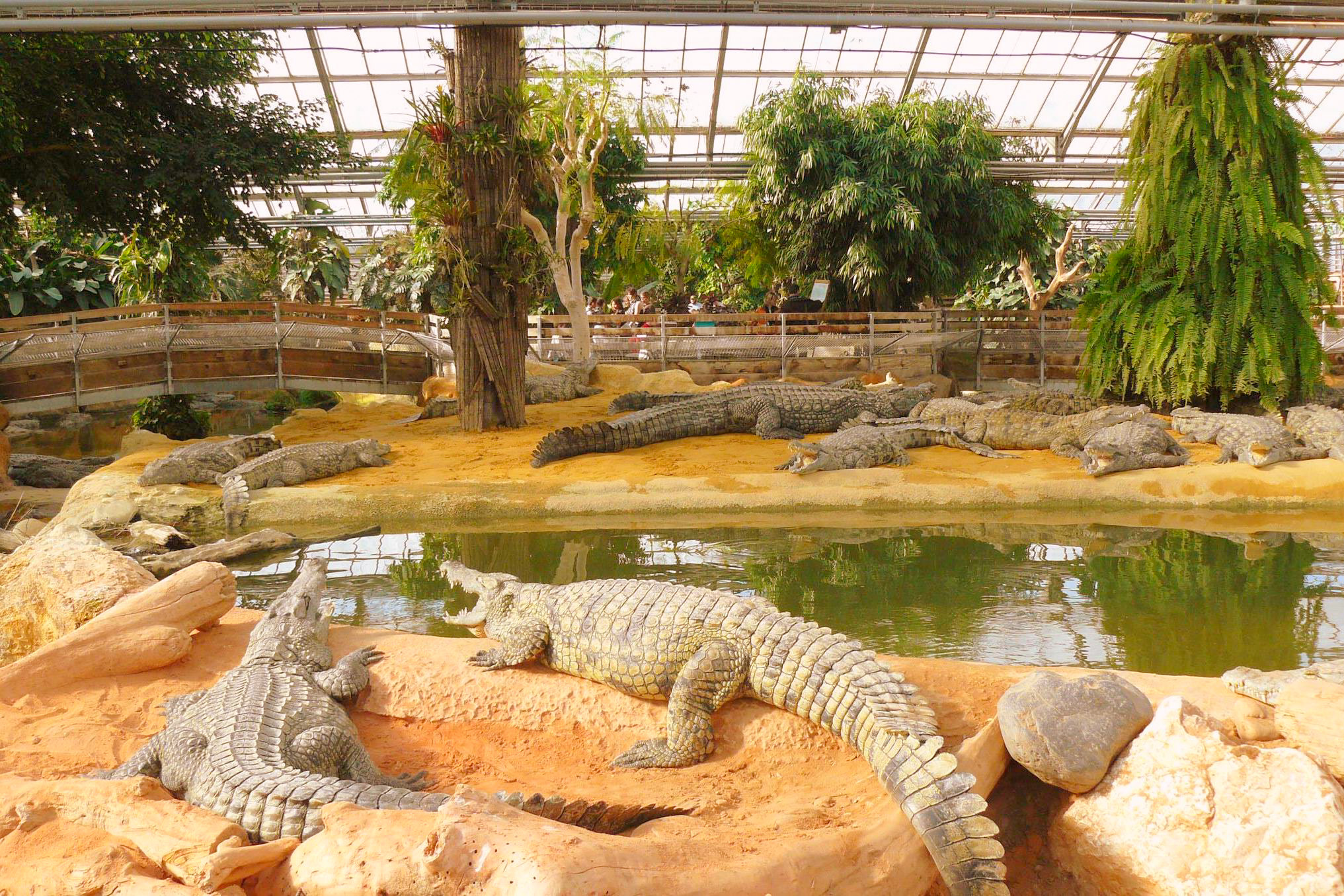 Planete des Crocodiles reptiles in Civaux Francecomfort Holiday